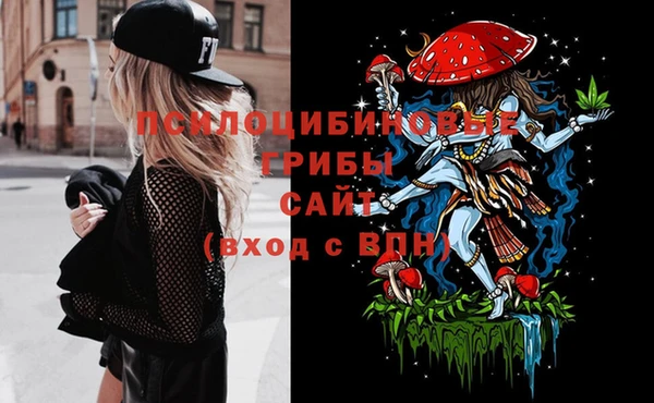 ECSTASY Алзамай