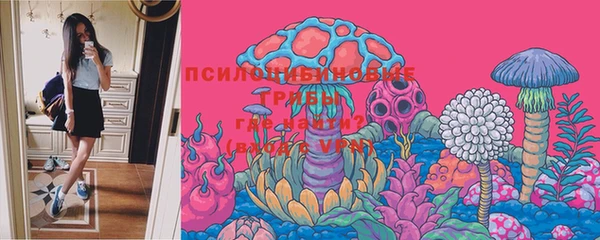 ECSTASY Алзамай