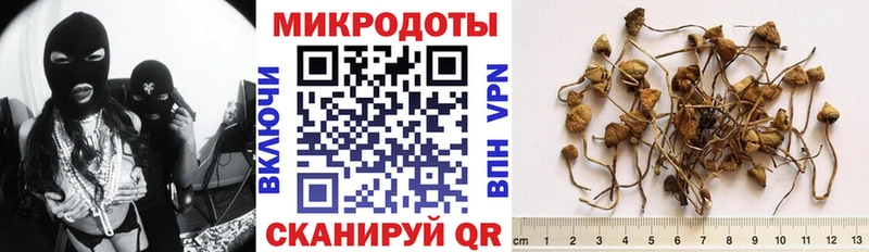 Галлюциногенные грибы мицелий  Жуков 